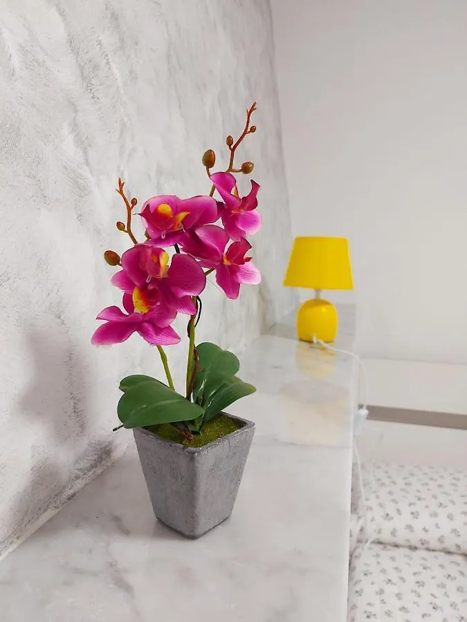Hotel del amor Camera Matrimoniale Genova Rooms Italia